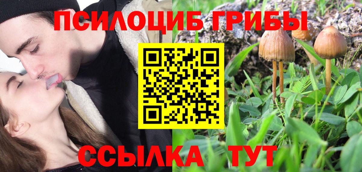 Петровск  Галлюциногенные грибы Cubensis  Галлюциногенные грибы MAGIC MUSHROOMS  Вход с VPN 