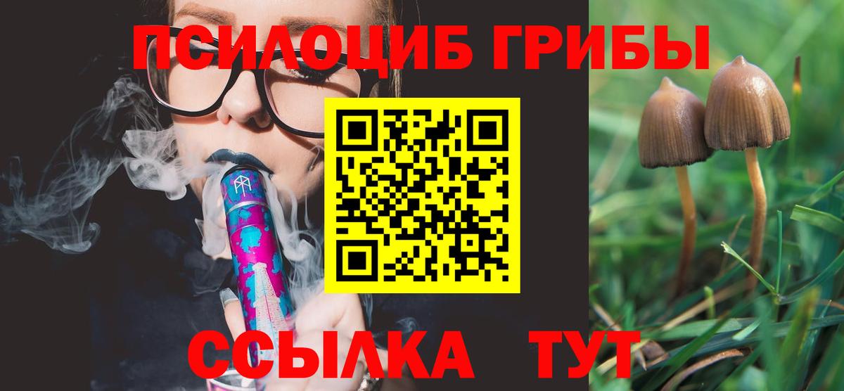 Галлюциногенные грибы Cubensis Петровск