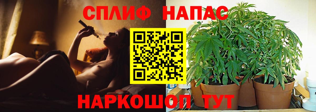 Бошки Шишки гибрид Петровск